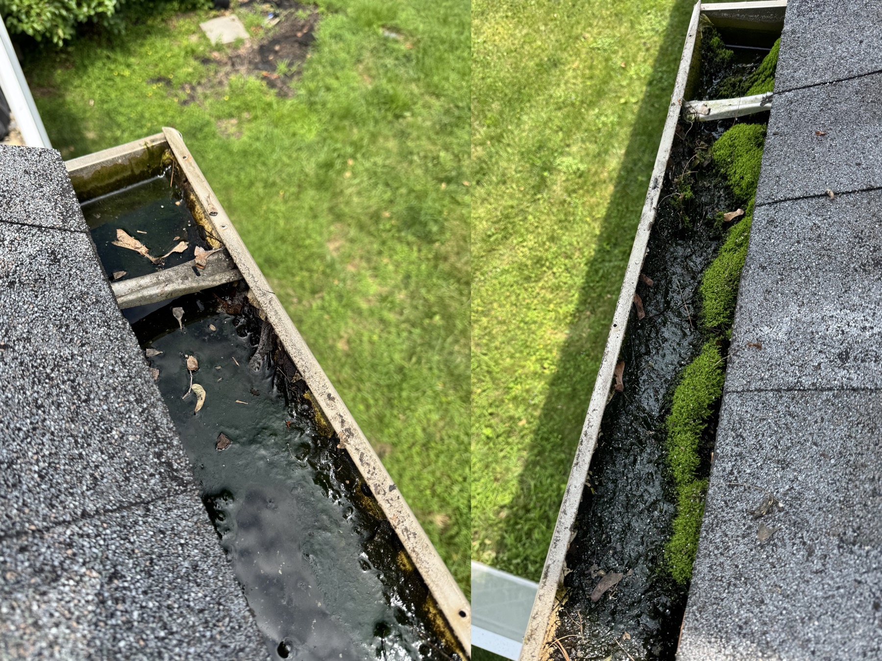 Severe gutter buildup with standing water and organic debris