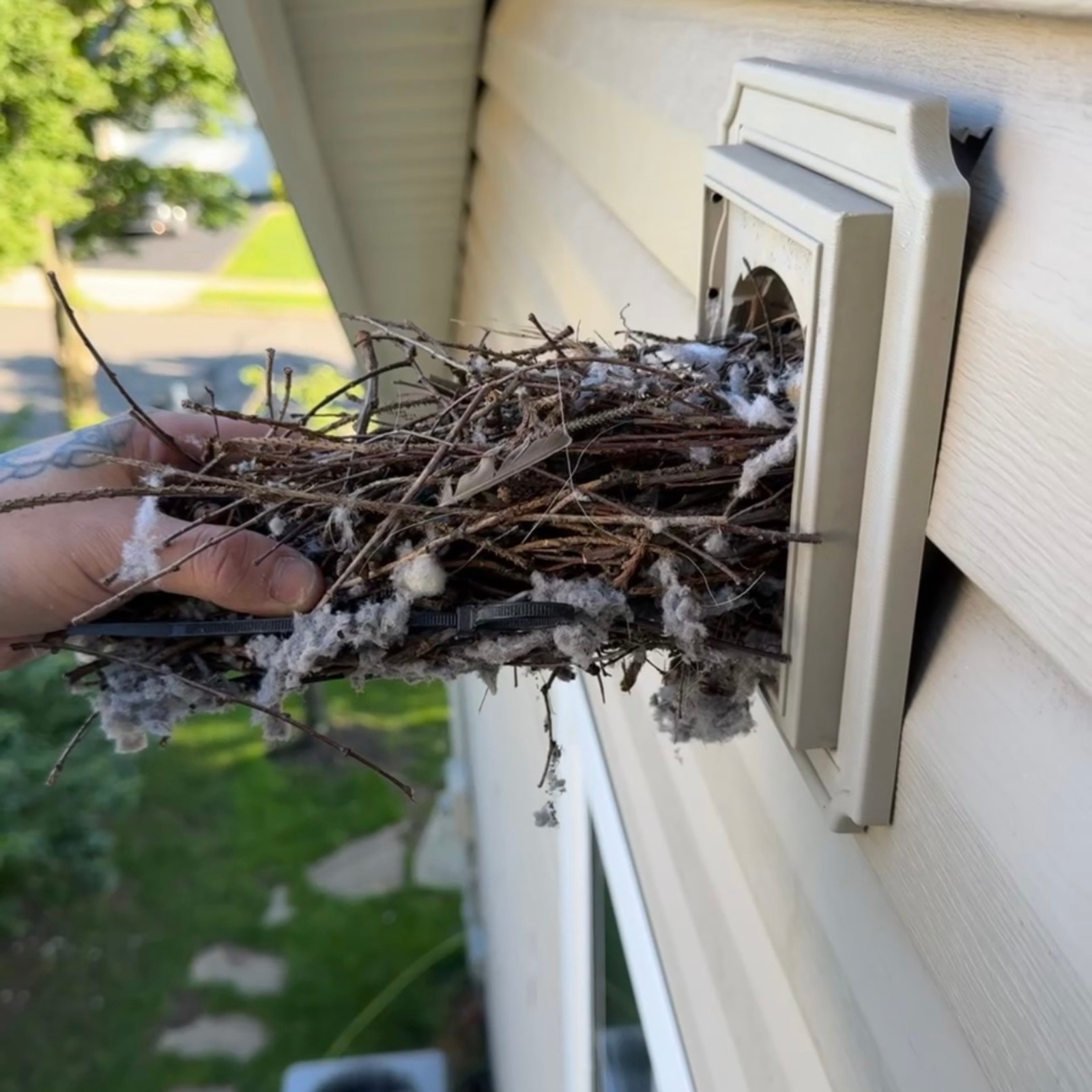 Nesting material blocking an exterior dryer vent