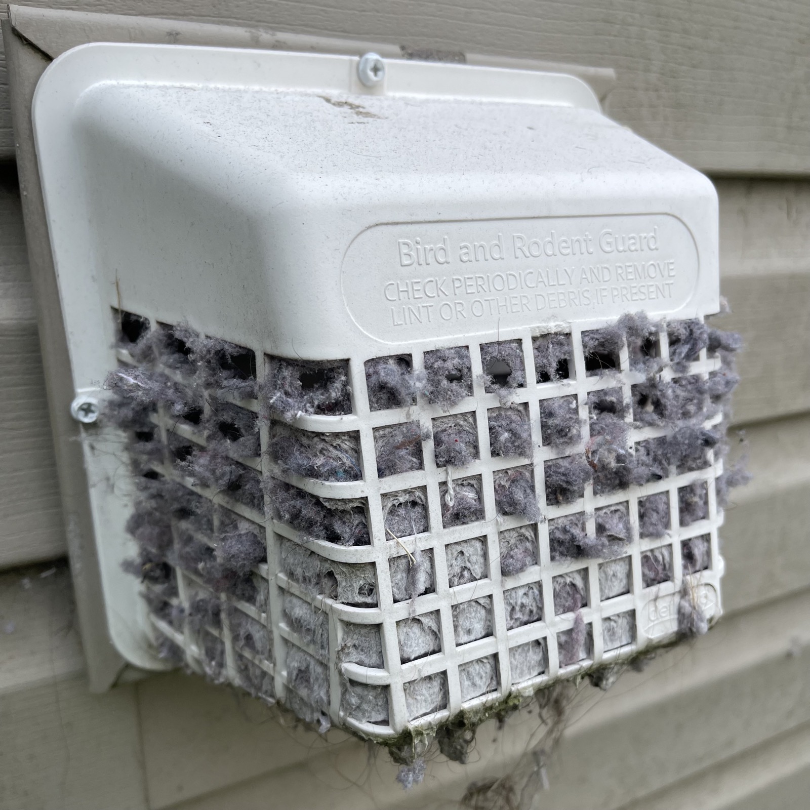 Lint buildup packed into an exterior dryer vent guard