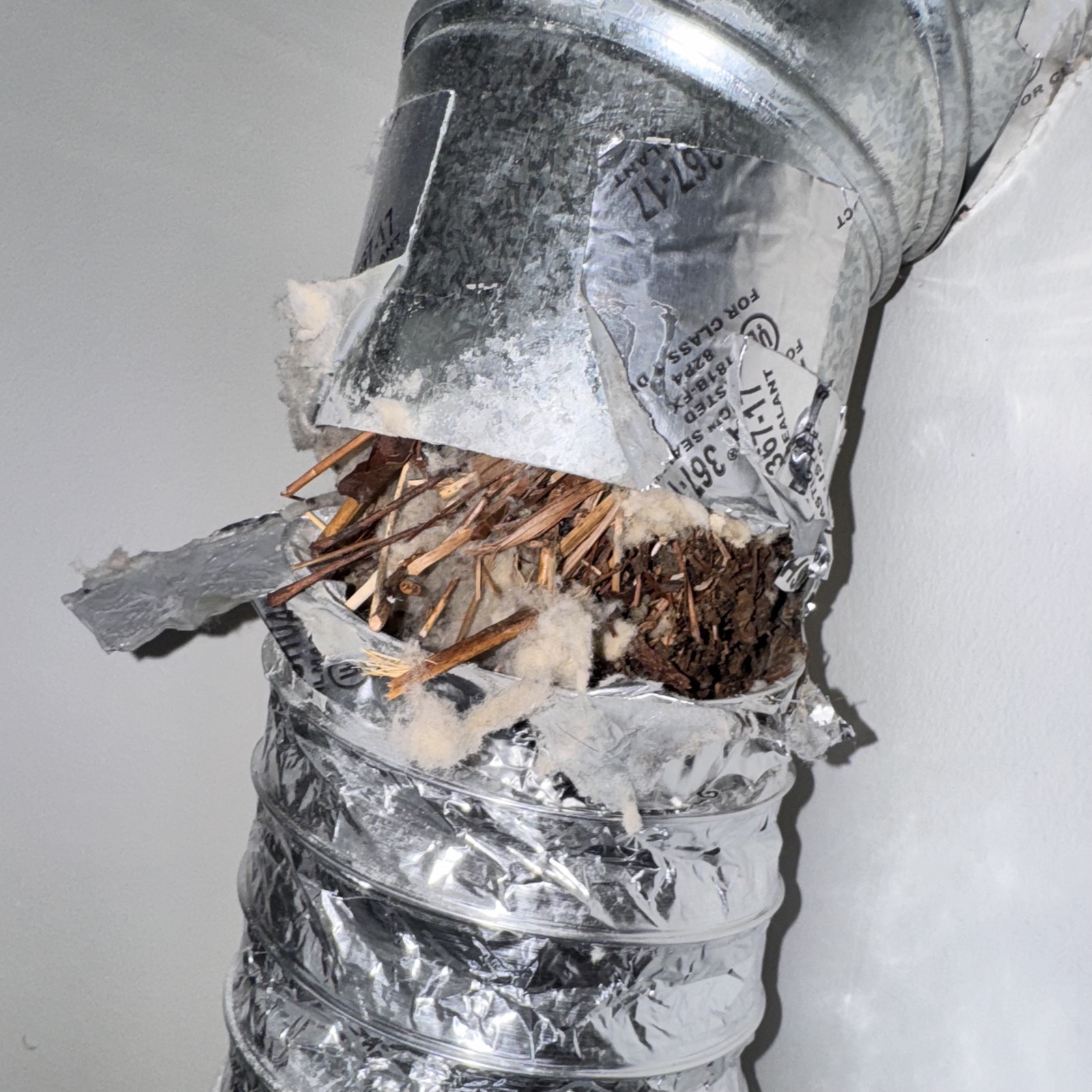 Nesting material and lint inside a dryer vent duct