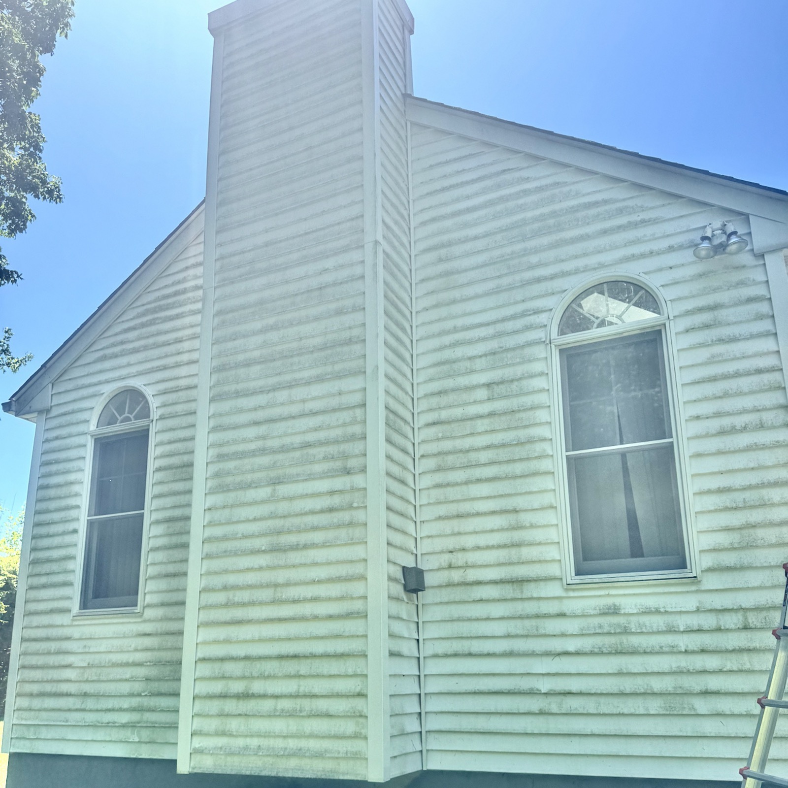 Siding with algae buildup before house wash